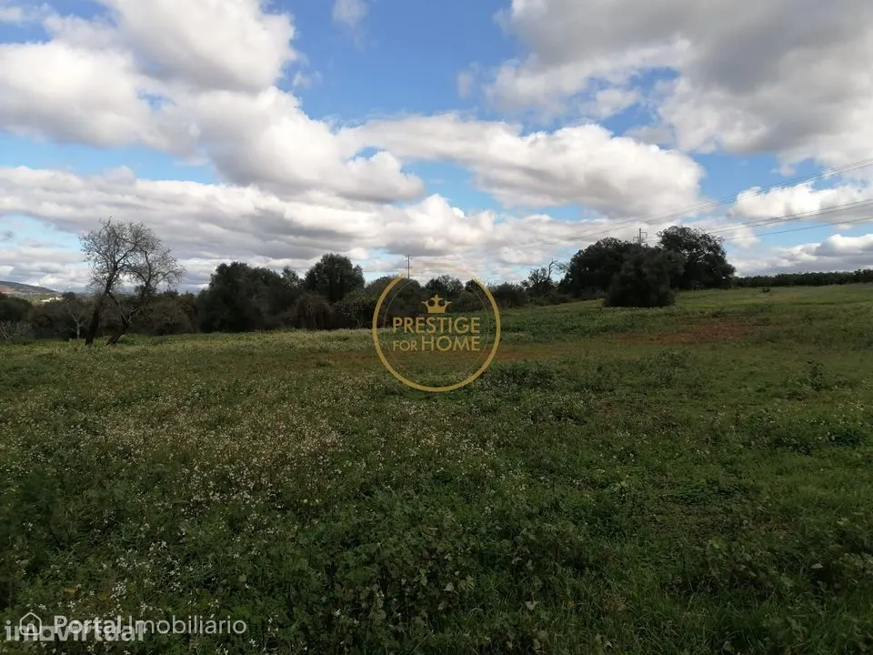 Land for sale in Boliqueime