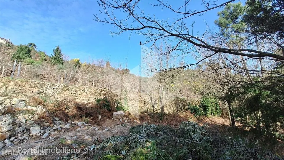 Terreno Rústico Venda em Santiago de Besteiros,Tondela
