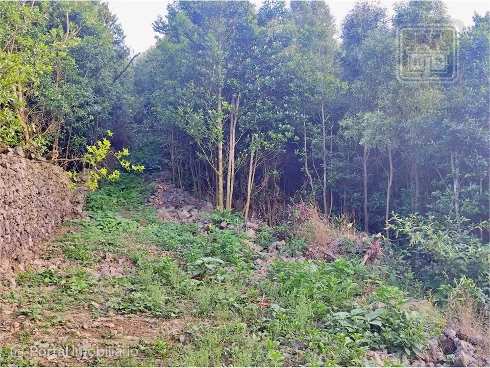 Land for sale in São Vicente Ferreira