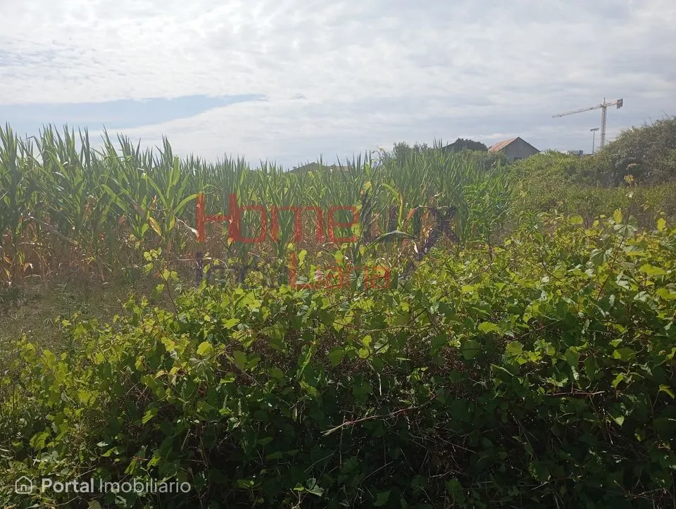 Land for sale in Castêlo da Maia