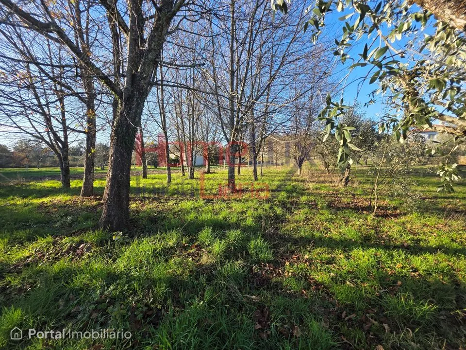 Terreno para venda em Vila Nova de Barreiros