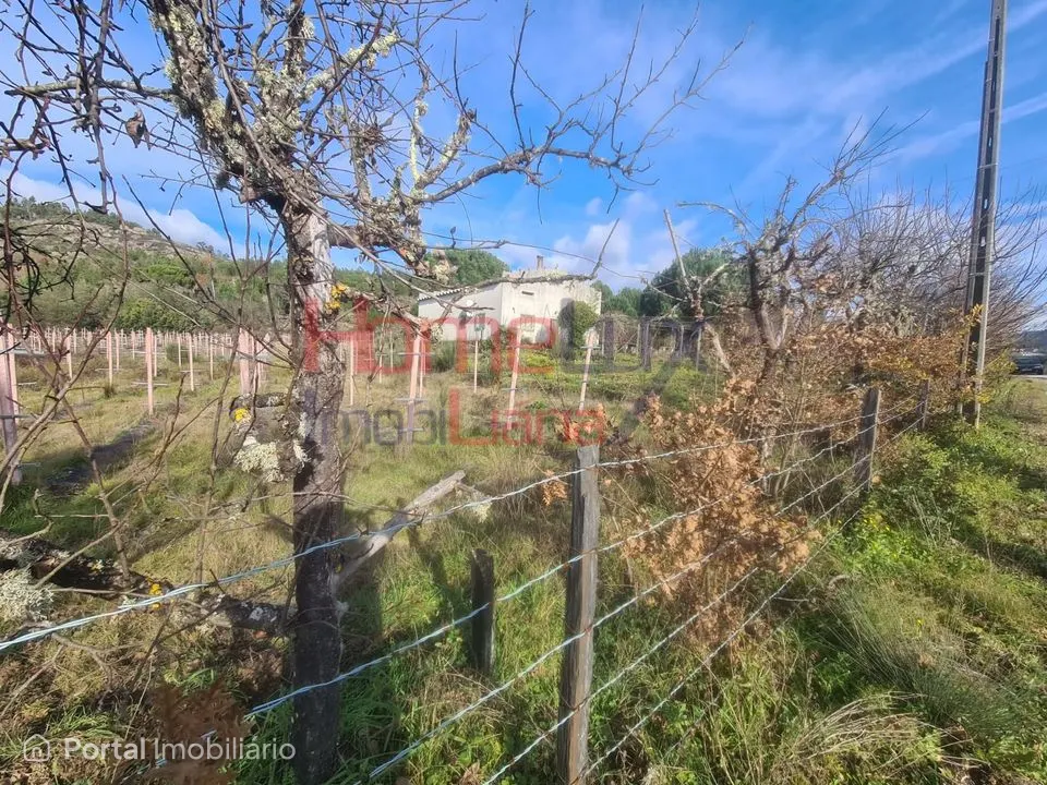 Quinta Agrícola do Dão para venda