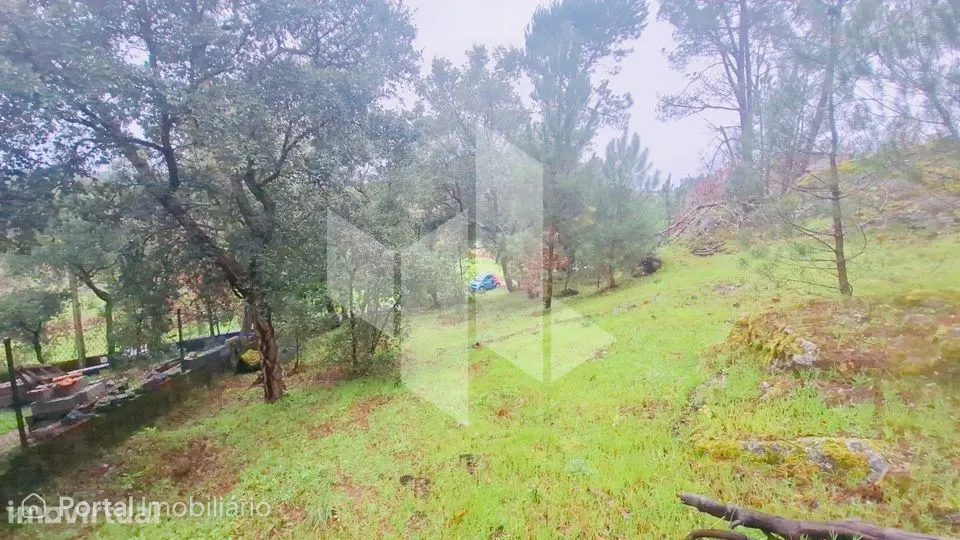 Terreno Para Construção Venda em Parada de Gonta,Tondela