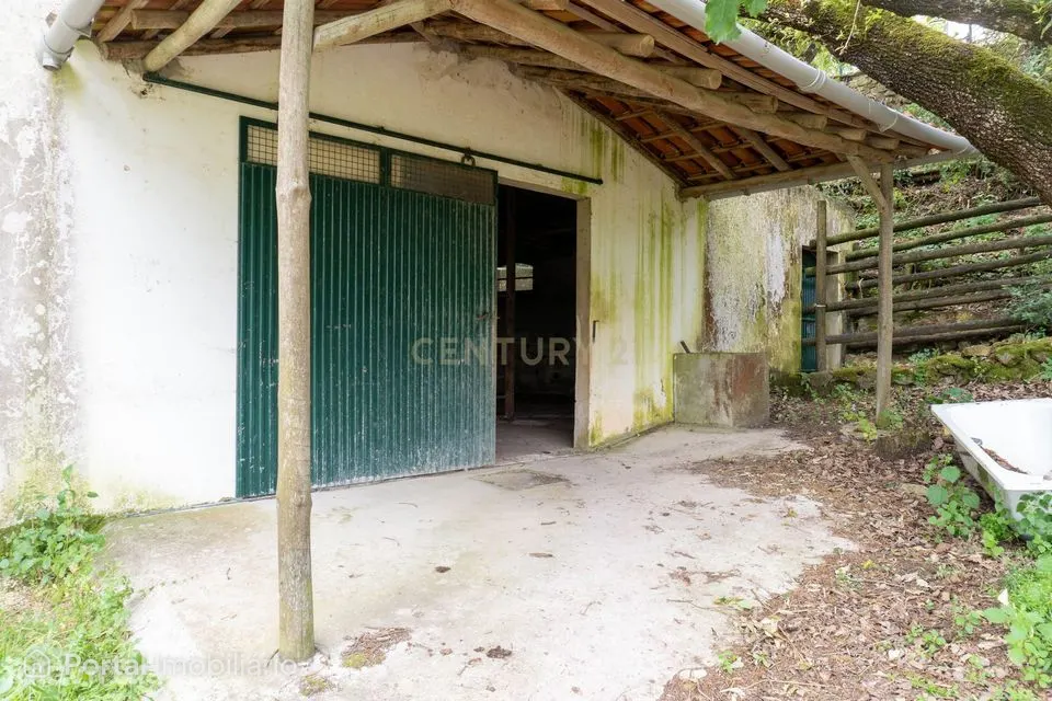 Quintinha em Alenquer com Excelente Potencial – 5,8 Hectares