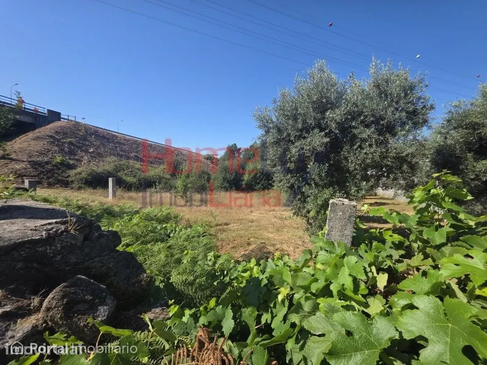 Terreno para venda no Campo, Viseu