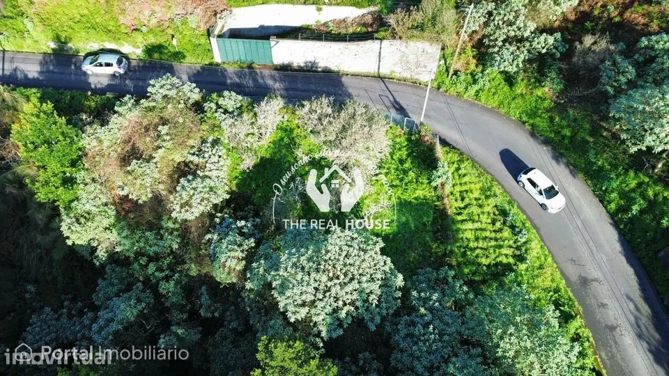 Terreno Rústico em Santo António da Serra