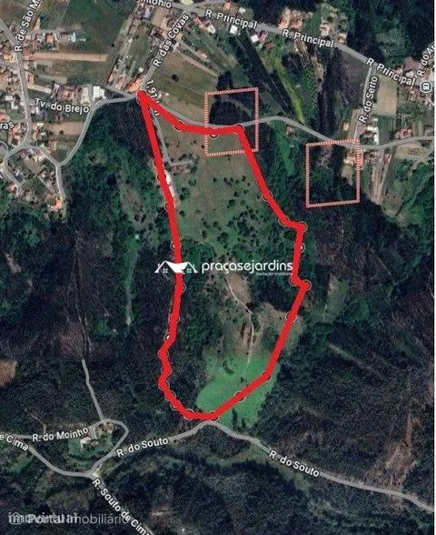 Magnifica Quinta em Zona Tranquila