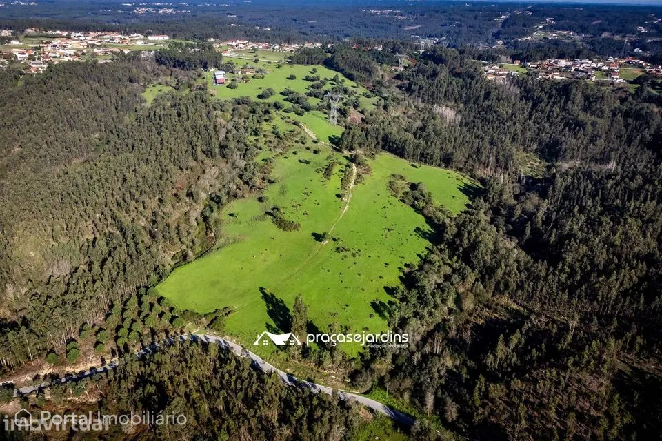 Magnifica Quinta em Zona Tranquila