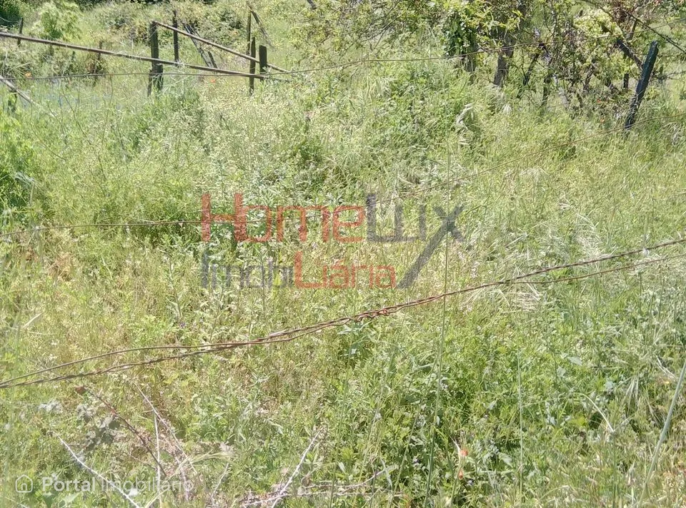 Terreno para Venda