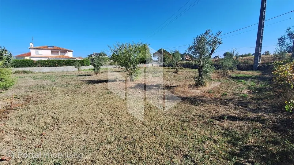 Terreno Para Construção Venda em Molelos,Tondela