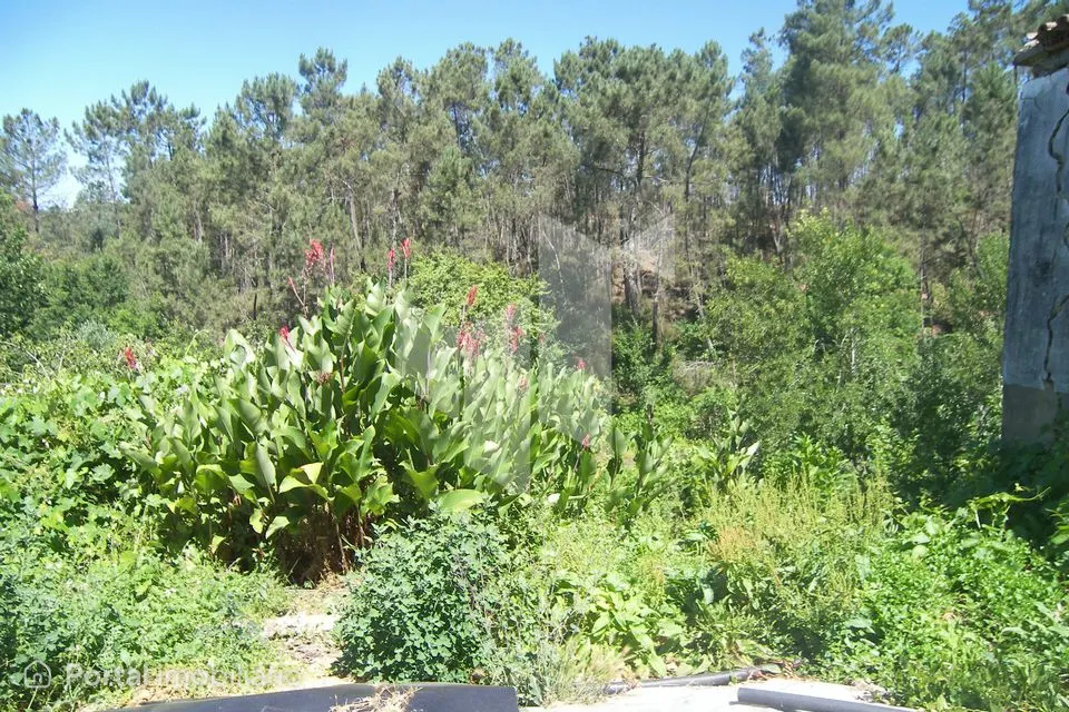 Terreno Para Construção T2 Venda em Dardavaz,Tondela
