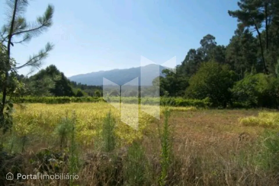 Studio farm for sale in Campo de Besteiros