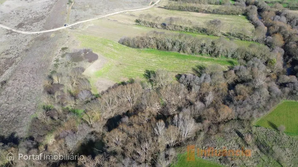 Terreno com ruína | Alcaria