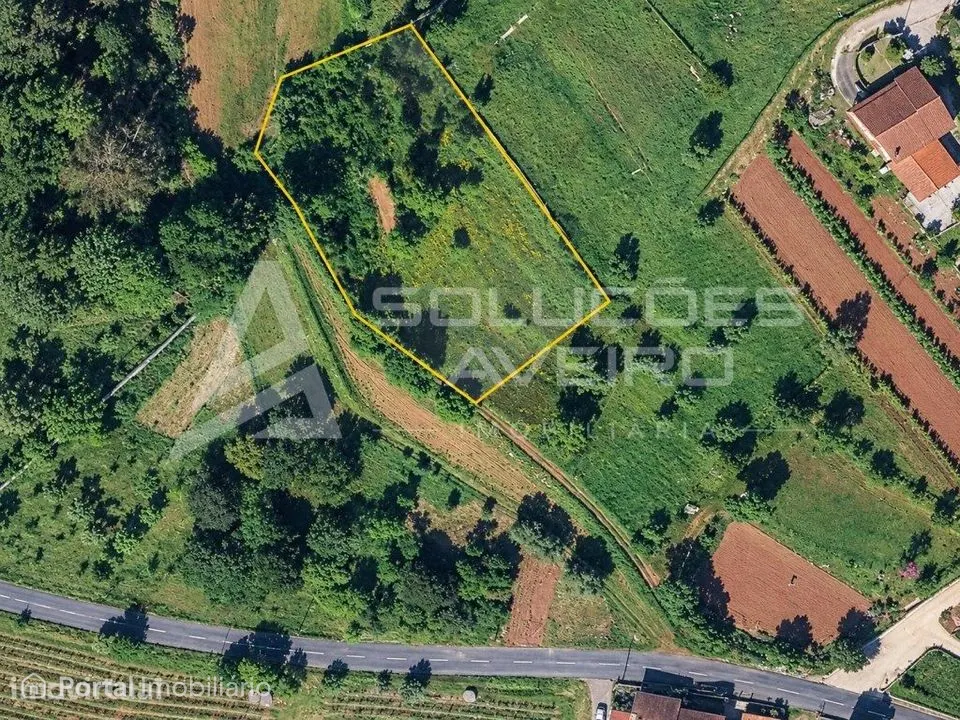 Quintã de oronhe - Águeda | 2.150 m²