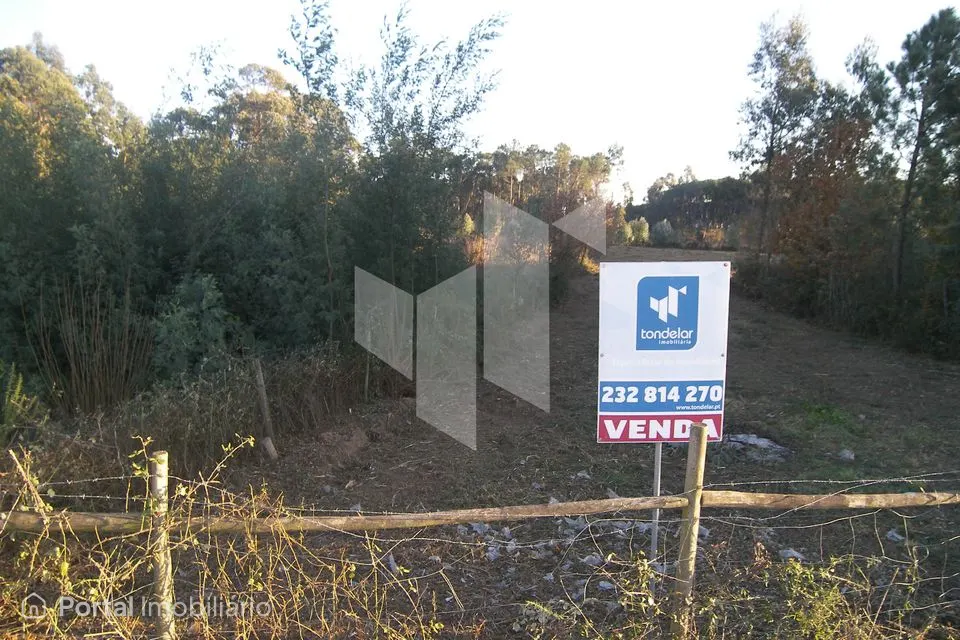 Terreno Para Construção Venda em Currelos, Papízios e Sobral,Carregal do Sal