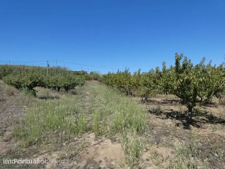 Terreno Agrícola (21437m²) c/ Viabilidade Construção Armazém Agrícola