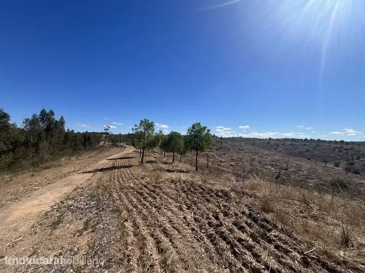 Herdade com 48ha de Natureza c/ Ruína de 53 m² – Ideal Projetos Rurais