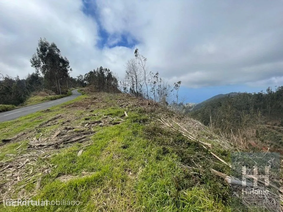 Terreno Rústico com 36.312 m2 no Campanário, Ribeira Brava