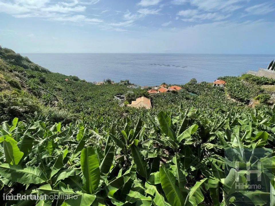 Terreno com 2.295m2 na Calheta, Madeira