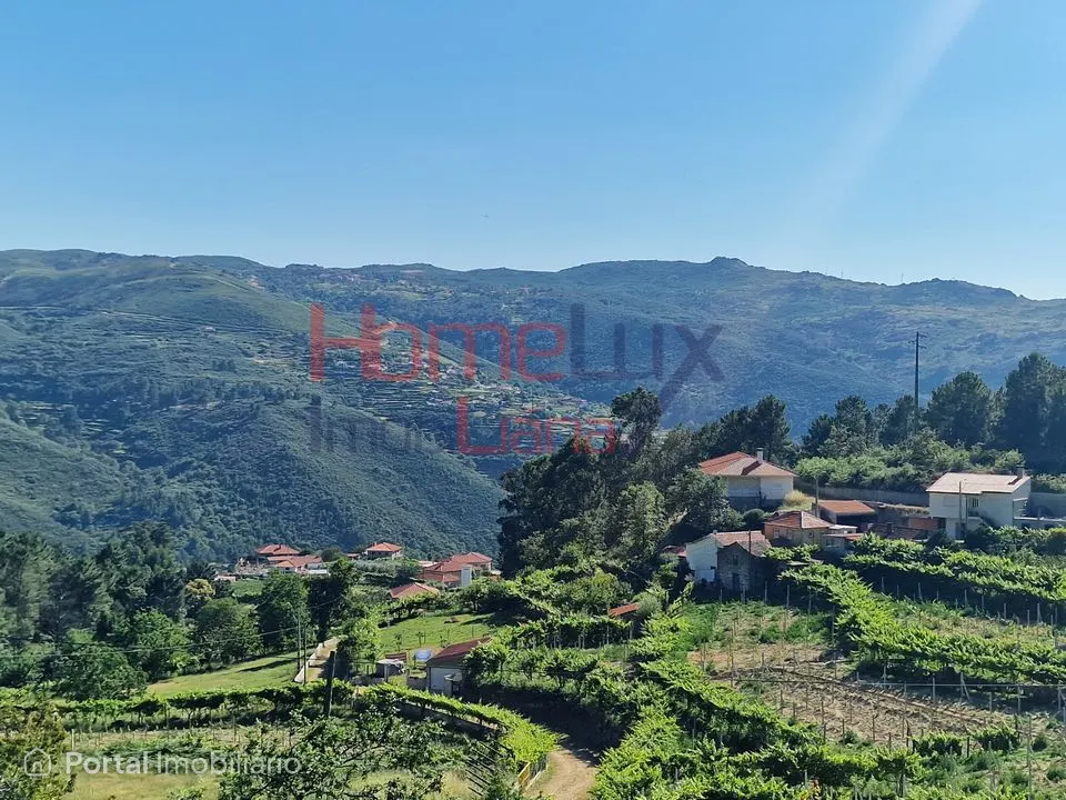 Land for sale in São Cipriano