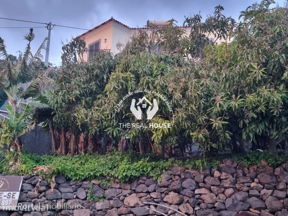 Terreno Ribeira brava