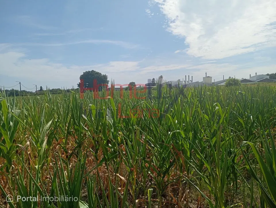 Land for sale in Castêlo da Maia