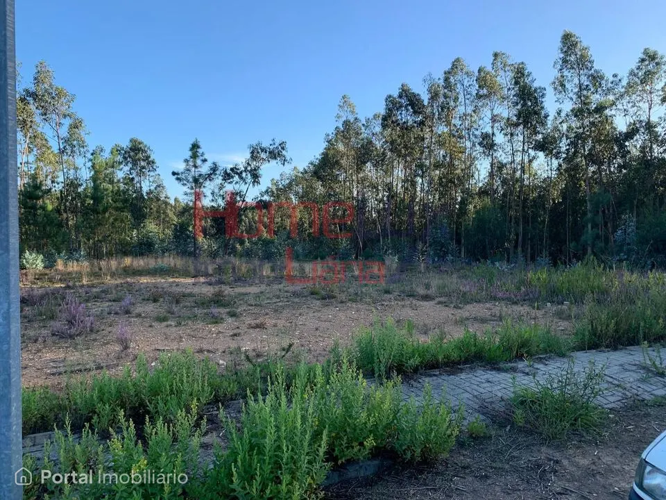 Land for sale in Valongo do Vouga