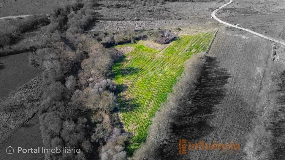 Terreno com ruína | Alcaria