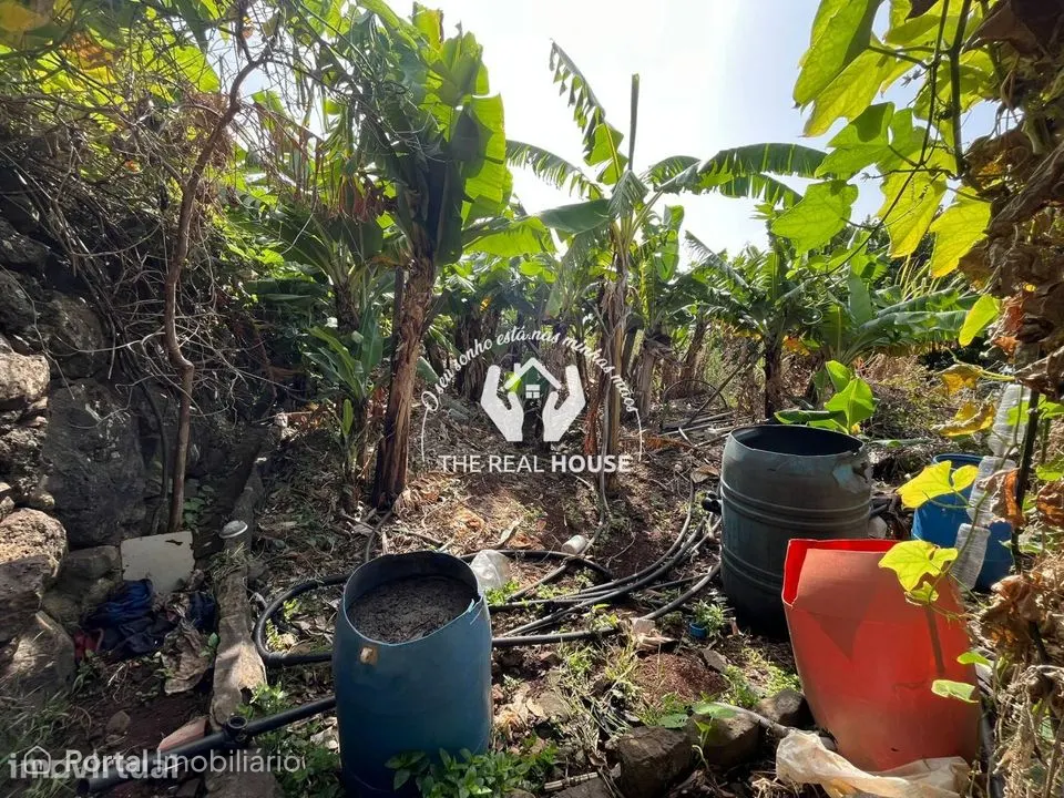 Terreno para Construção em Santa Cruz