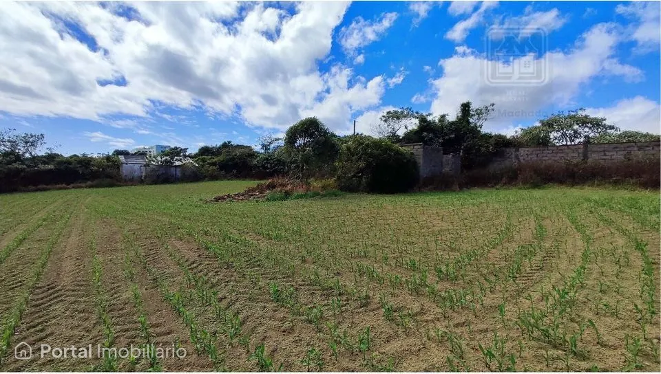 TERRENO para venda com 4.220m² de área total