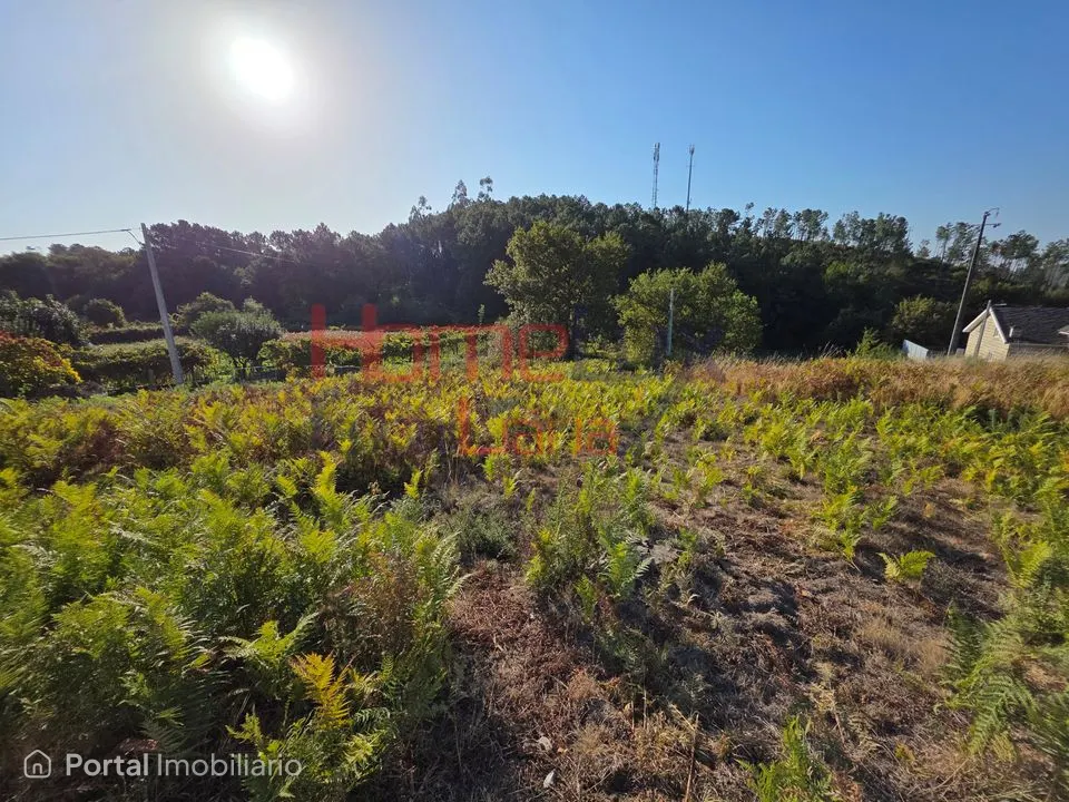 Terreno com viabilidade de construção