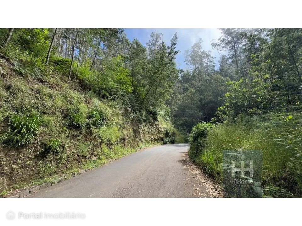 Terreno rústico no Caminho dos Pretos | Funchal