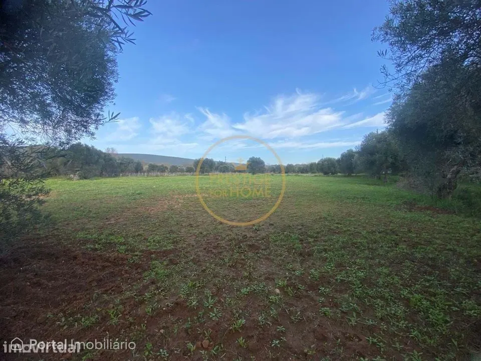 Land for sale in Loulé (São Sebastião)