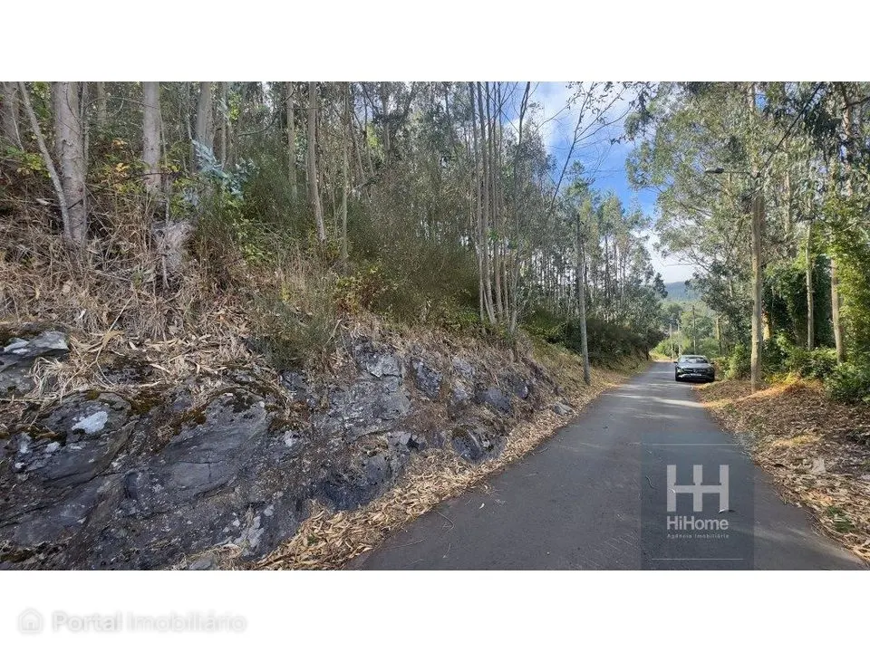 Land for sale in Camacha