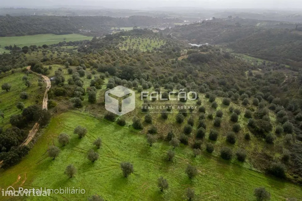 Terreno Misto Venda em Pernes,Santarém