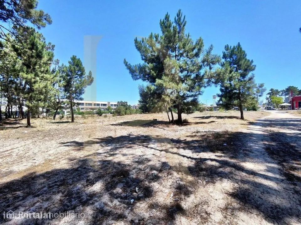 Venda conjunta de 105 lotes de terreno na Urbanização Pinhal de Neg...