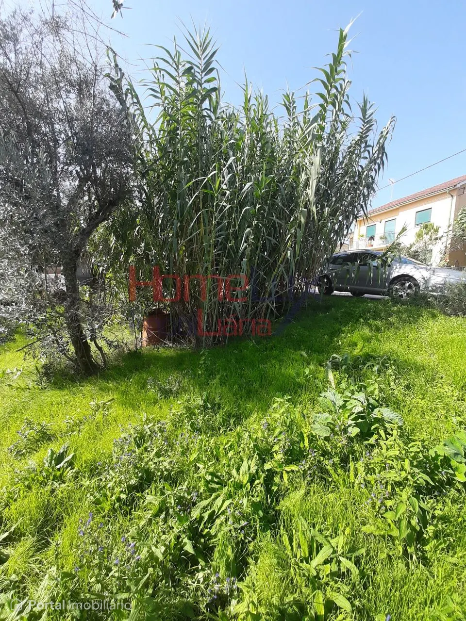 Land for sale in Rio de Loba
