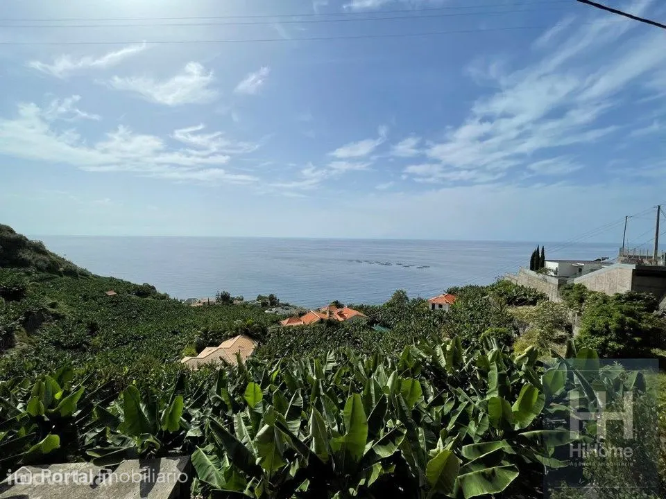 Terreno com 2.295m2 na Calheta, Madeira