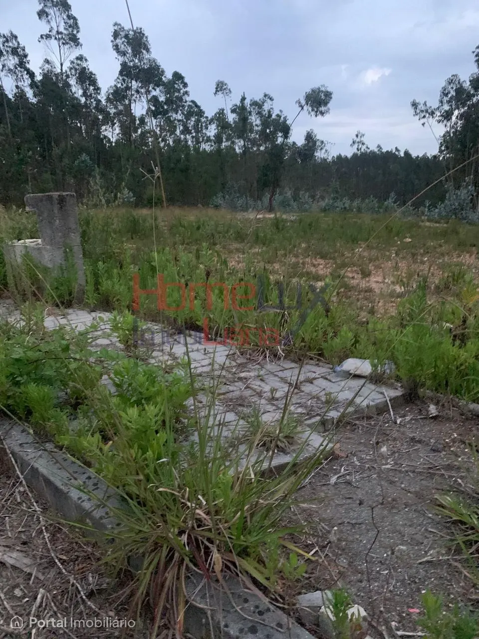Land for sale in Valongo do Vouga