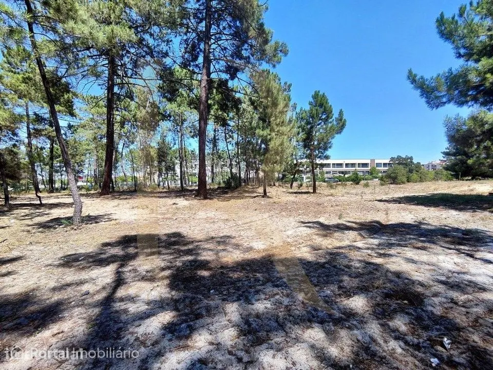 Venda conjunta de 105 lotes de terreno na Urbanização Pinhal de Neg...