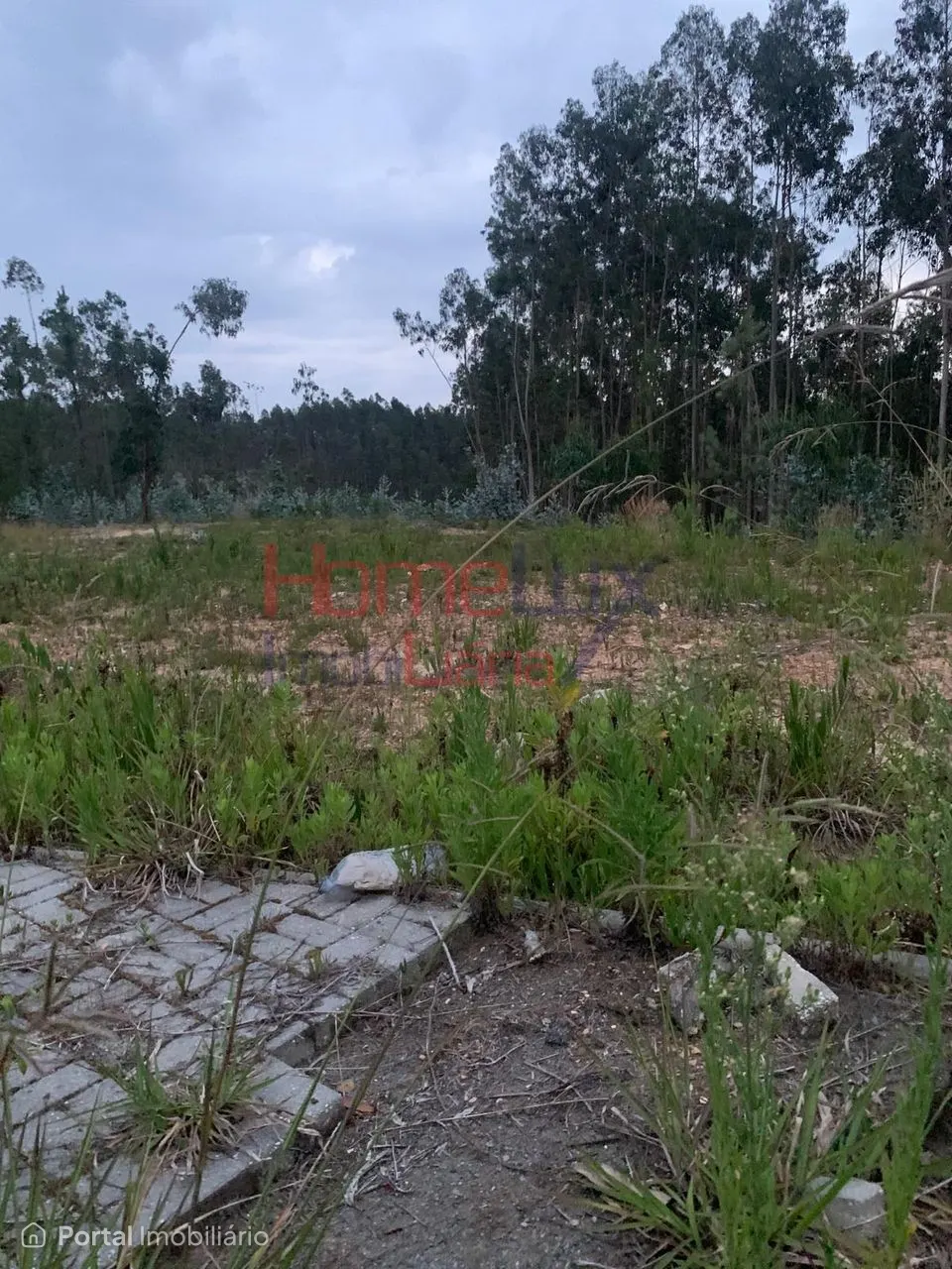 Land for sale in Valongo do Vouga