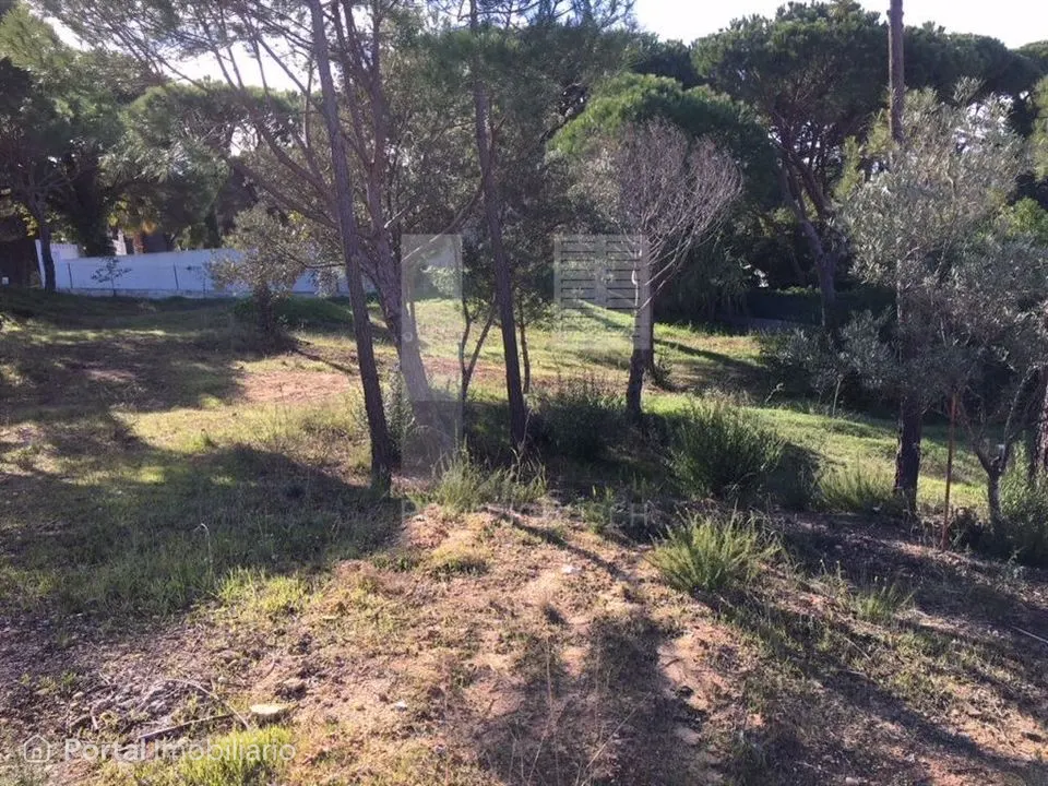 Terreno em Vilas Alvas