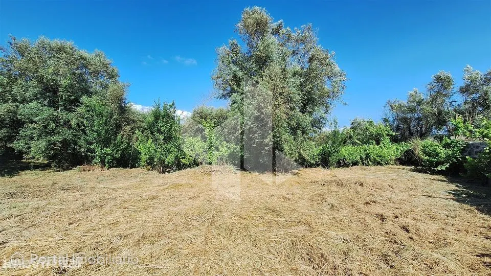 Terreno Para Construção Venda em Molelos,Tondela