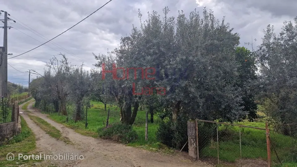 Terreno em Santiago de Besteiros