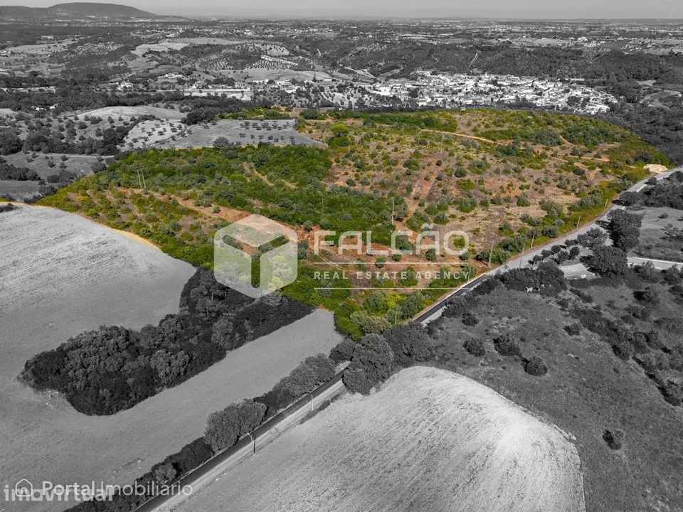 Terreno Para Construção Venda em Azoia de Cima e Tremês,Santarém