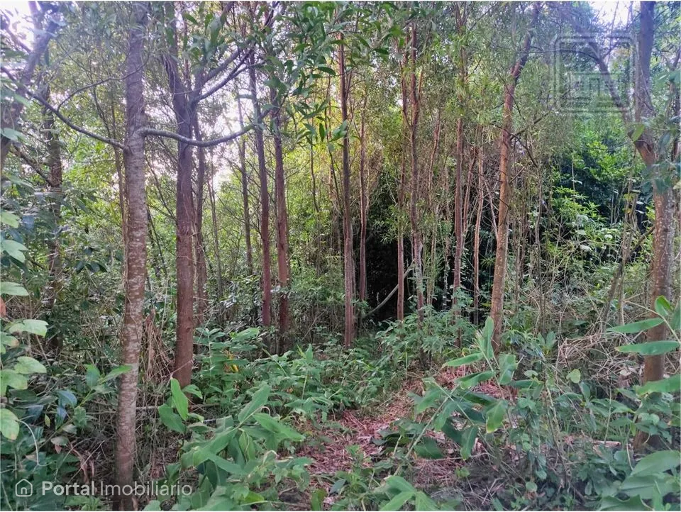 Land for sale in São Vicente Ferreira