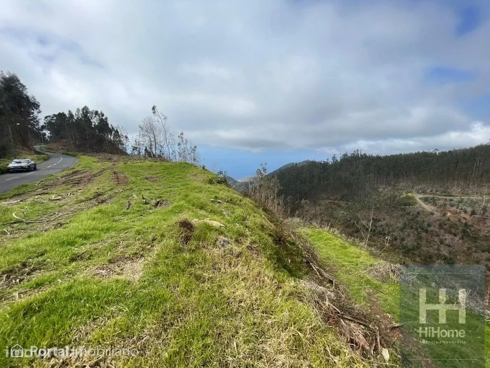 Terreno Rústico com 36.312 m2 no Campanário, Ribeira Brava
