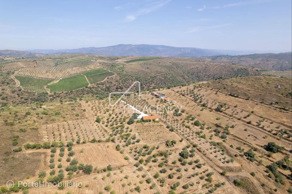 Land for sale in Vila Nova de Foz Côa
