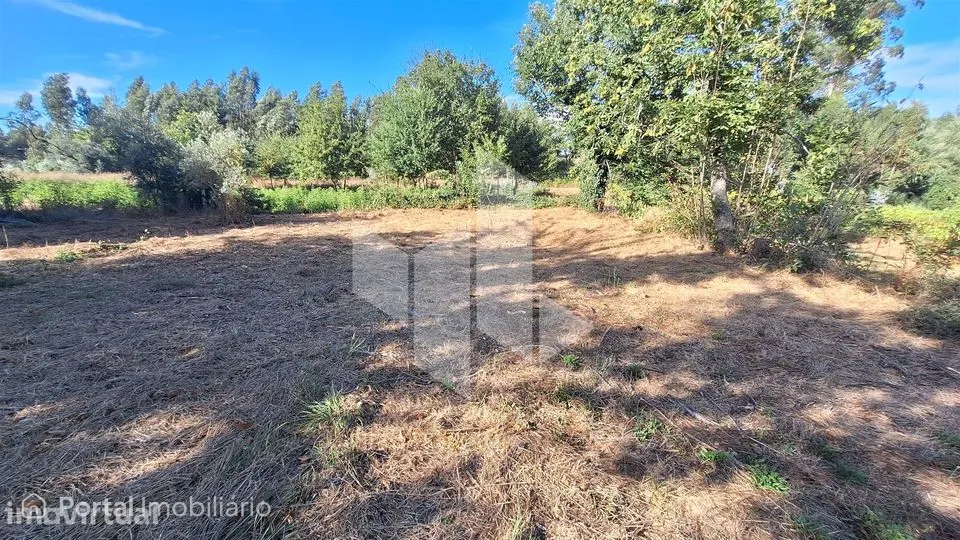 Moradia Isolada T0 Venda em Dardavaz,Tondela