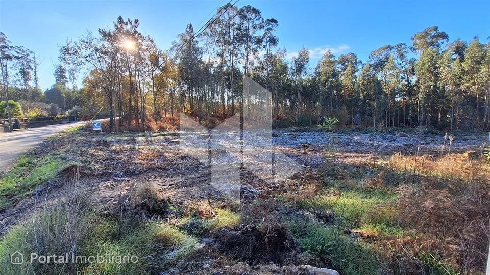 Terreno Para Construção Venda em Campo de Besteiros,Tondela
